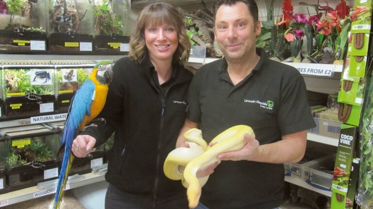 Shop talk: Lincoln Reptile and Pet Centre - Top of the class!