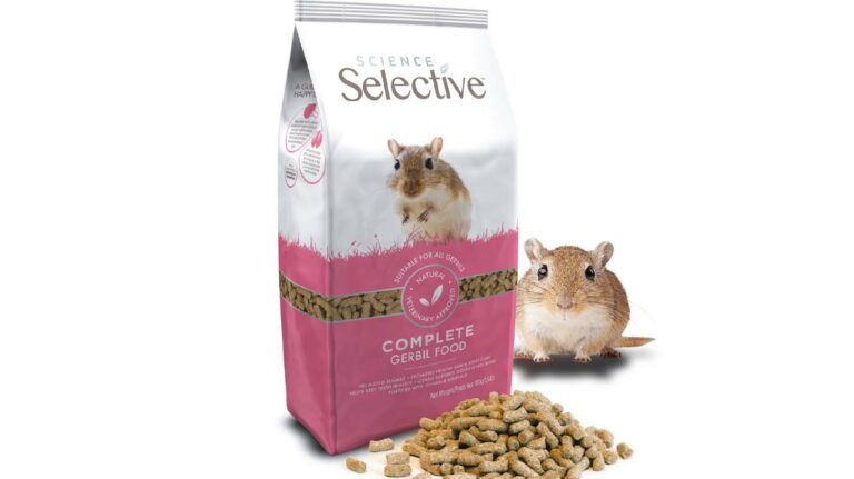 The appliance of science to gerbil food