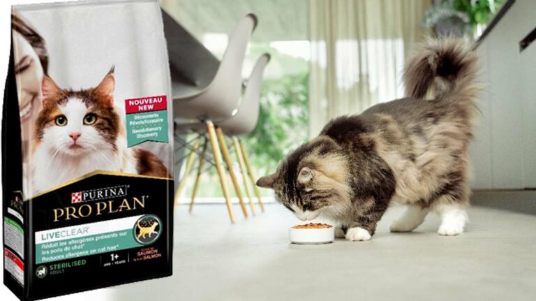 Cat food innovation to cut human allergies