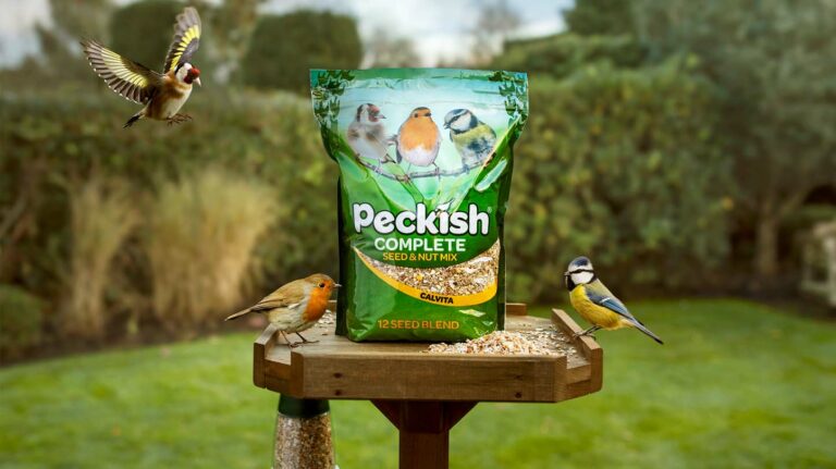 Peckish plans to soar into autumn