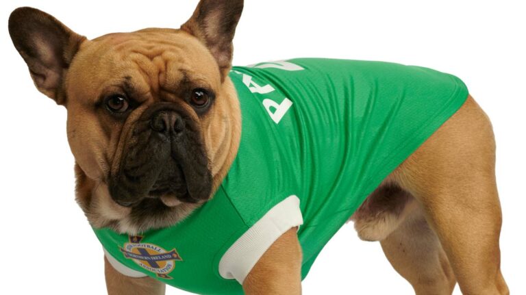Irish FA signs up Urban Pup