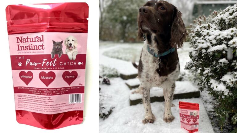 Paw-fect timing for treats launch