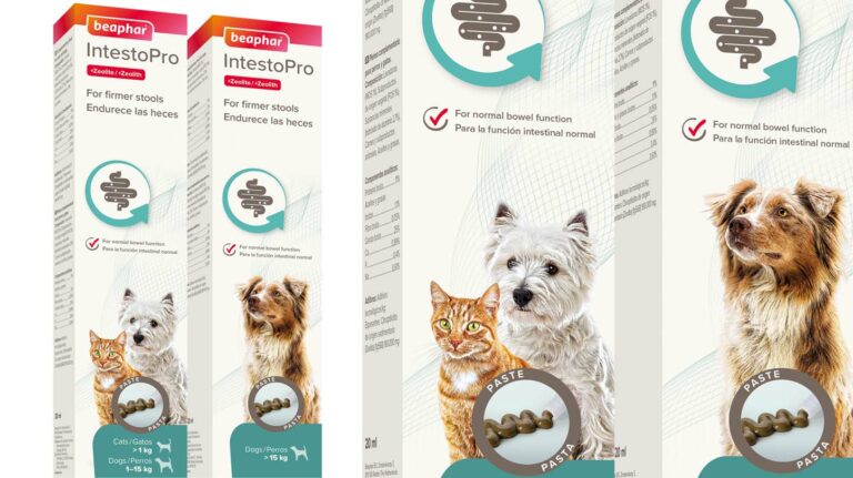New product tackles pets’ tummy troubles