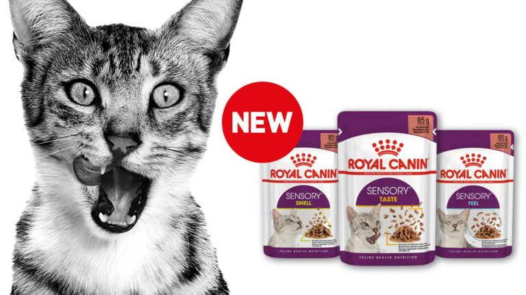 Royal Canin Sensory feeds cats’ senses