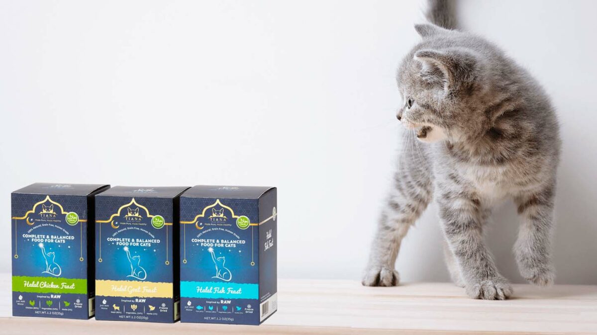 Halal cat food launched in UK Pet Business World