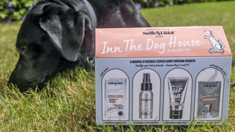 Dog treat packs for gifting occasions