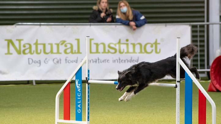 Natural Instinct sponsors GB dog agility team