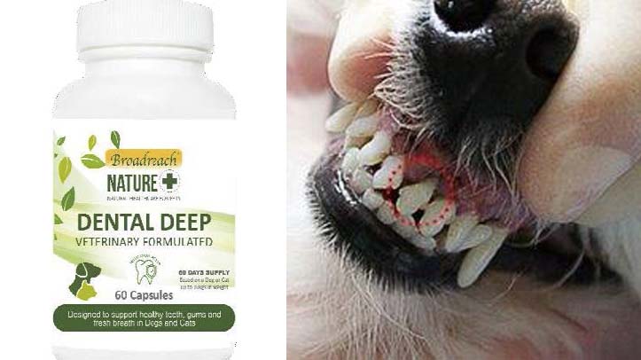 Supplement to support dental health