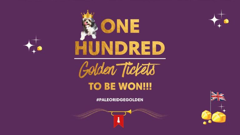 Paleo Ridge creates ‘Golden Ticket’ offer