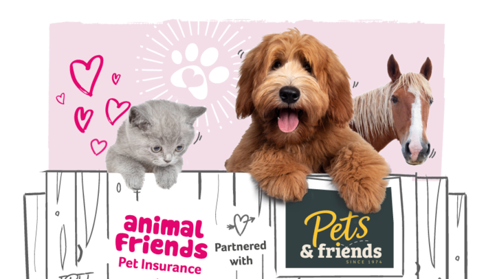 Pets Friends Links Up With Animal Friends Insurance Pet Business World