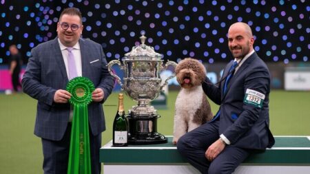 Crufts Best in Show winner fed on Fish4Dogs | Pet Business World